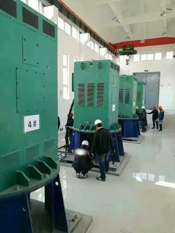 国营红岗农场某污水处理厂使用我厂的立式高压电机安装现场生产厂家