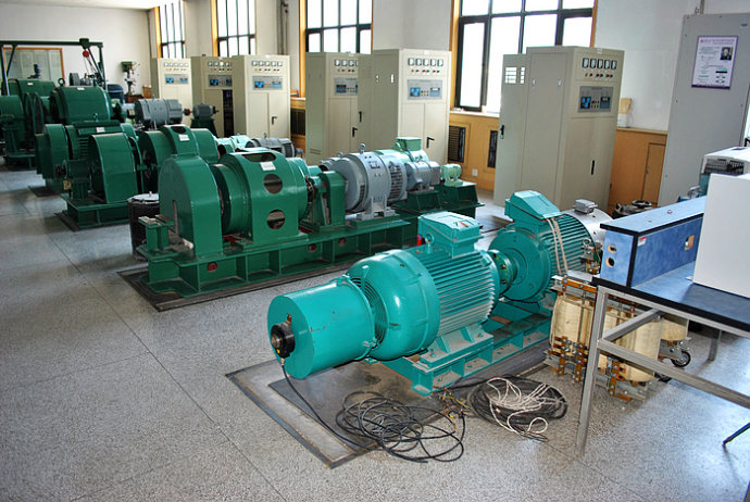 国营红岗农场某热电厂使用我厂的YKK高压电机提供动力